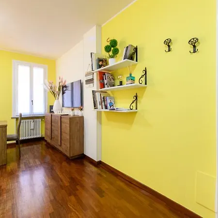 Alex Dream Reggio Emilia